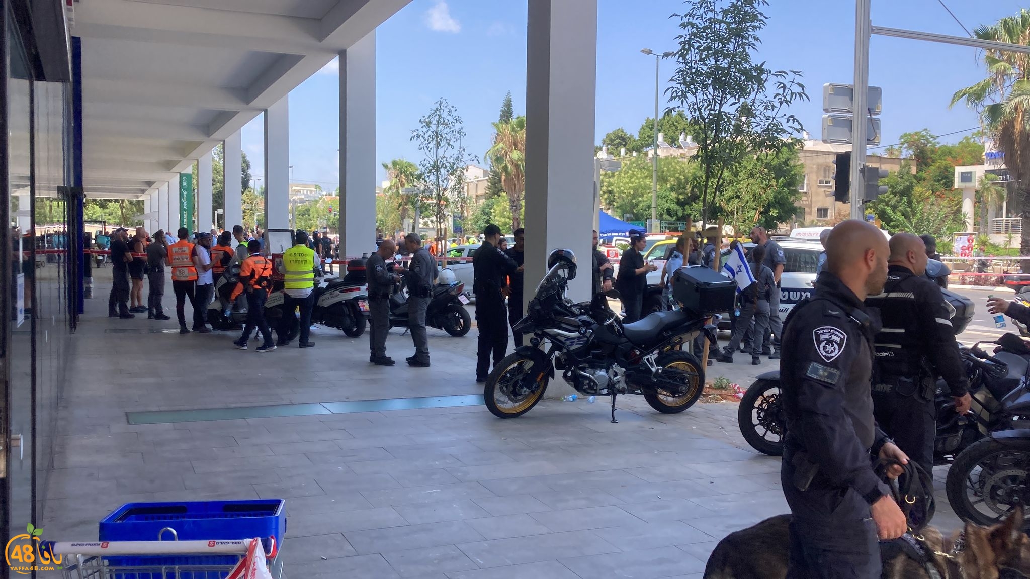 WhatsApp Image 2023-07-04 at 2.05.28 PM (2).jpeg